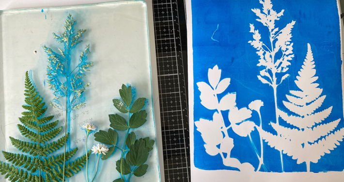 Workshop Cyanotype