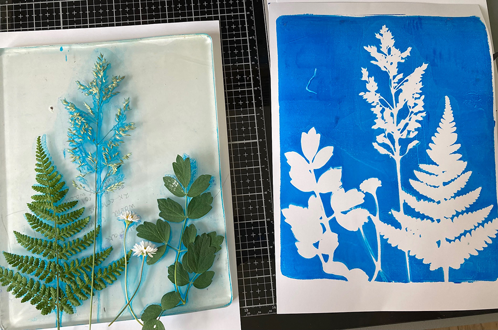 Workshop Cyanotype